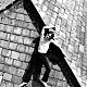 Filename=sky_outtakes6.jpg
Filesize=41KiB
Dimensions=342x432
Date added=Jun 07, 2006 sky_outtakes6.jpg